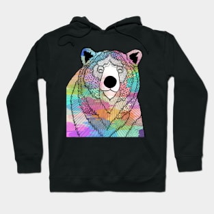 The Colourful bear Hoodie